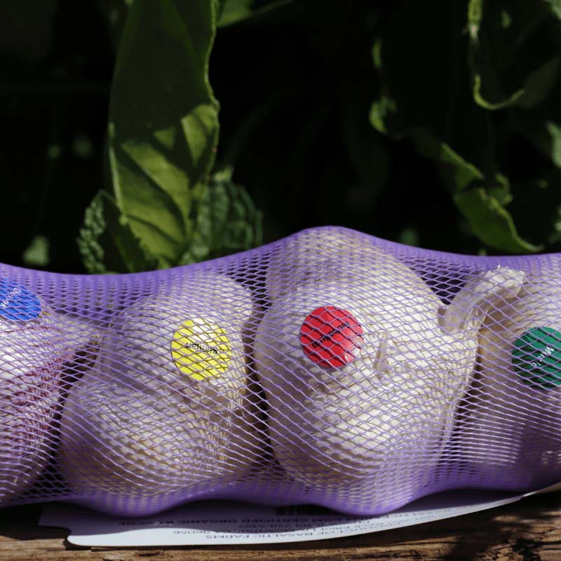 Organic Heirloom Garlic Variety Pack – Taste the Rainbow of Garlic