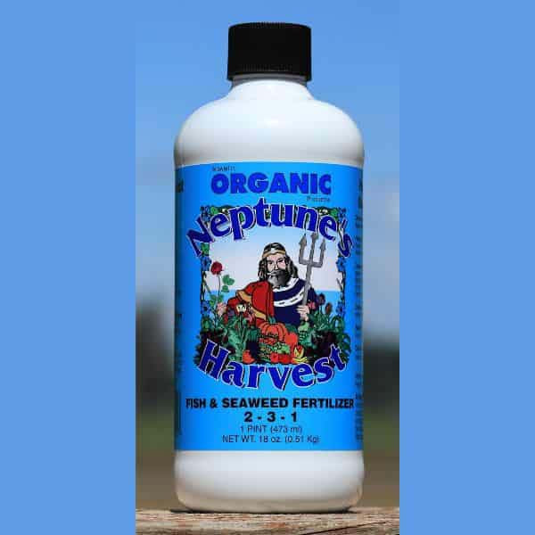 Organic Neptune Harvest