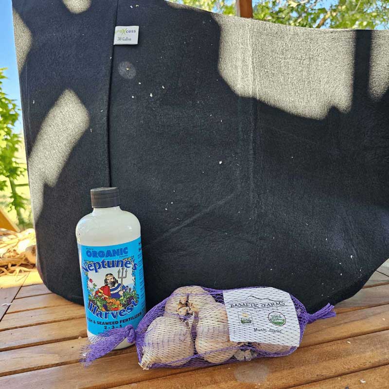Organic Garlic Growing Kit